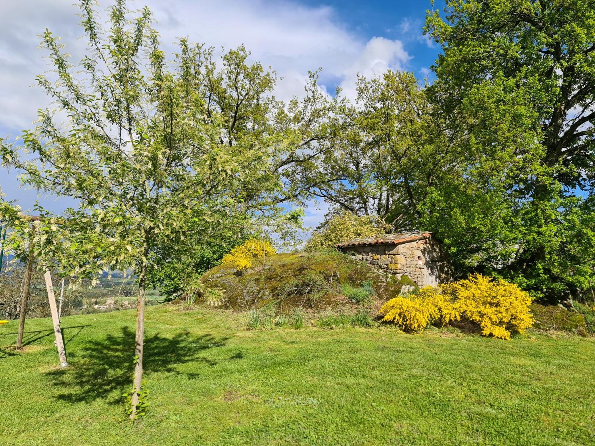 Gite Chez Tiane Saint-Flour-L'Etang Eksteriør billede